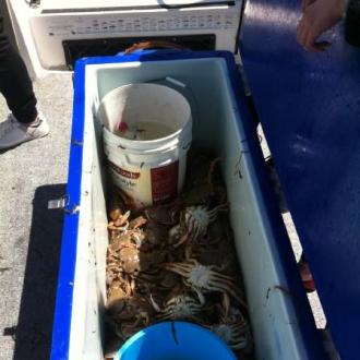 crab_charter_20151111_1276350533