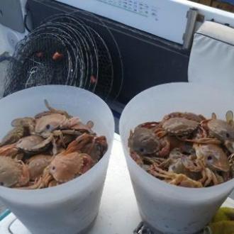 crabbing_in_the_gippsland_lakes_20170202_1103202284