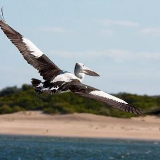 cruising_lakes_entrance_20110402_1946767591