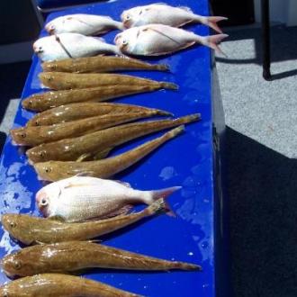fishing_20111101_1236875720