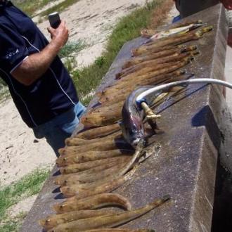 fishing_20111101_1645244356