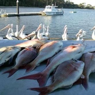 fishing_2014_20150224_1898154378