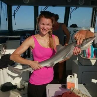 gummyshark_20160114_1577728739