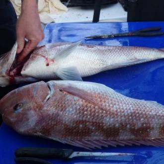 mr__mrs_fisherman_20120106_1336196472