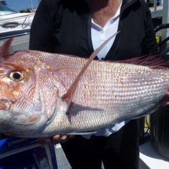 mr__mrs_fisherman_20120106_1961853463