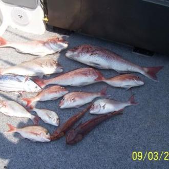 snapper_fishing_20111223_1966293815